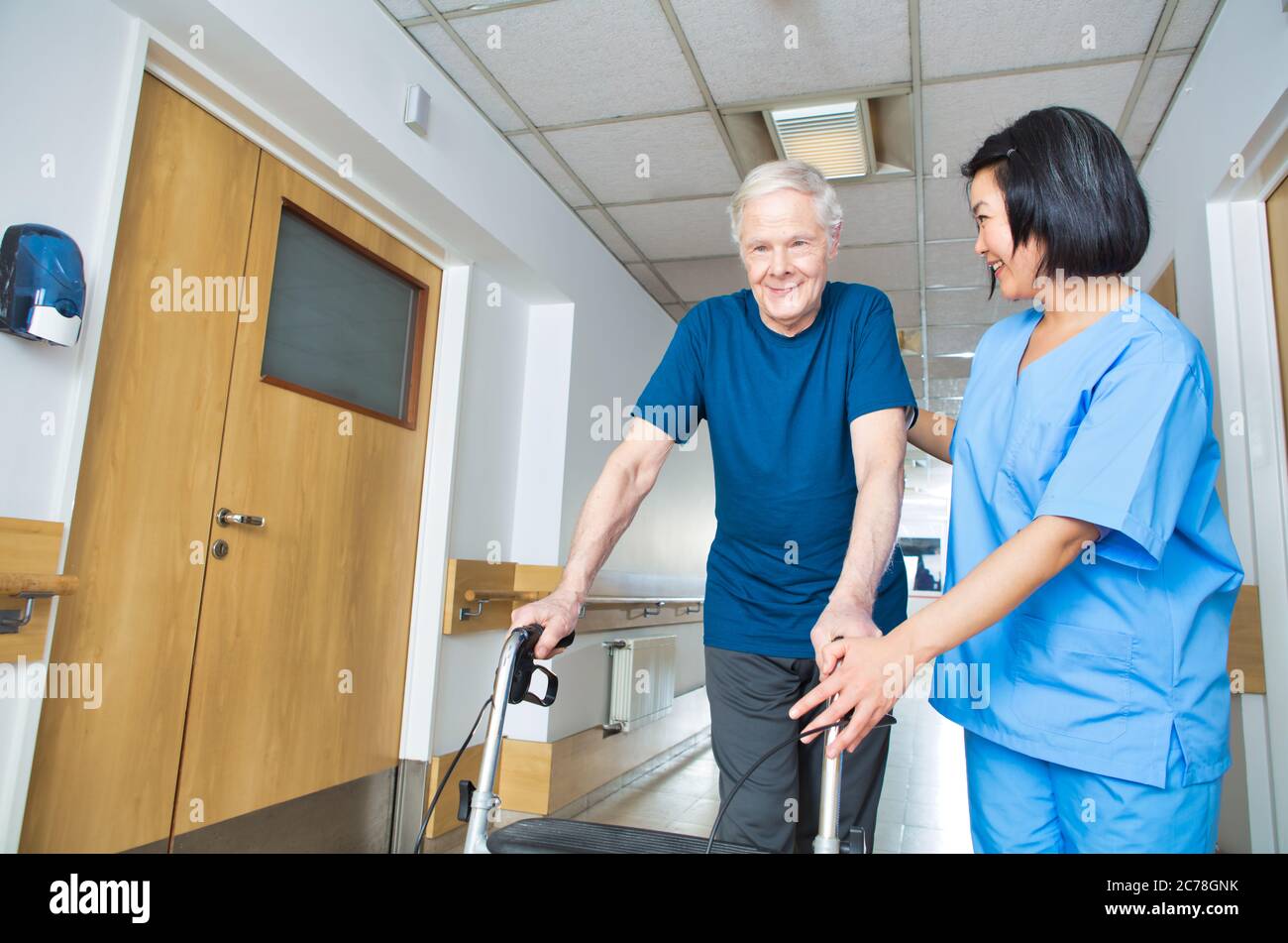 Asian nurse assisting elderly man with walker walking on the hospital ...