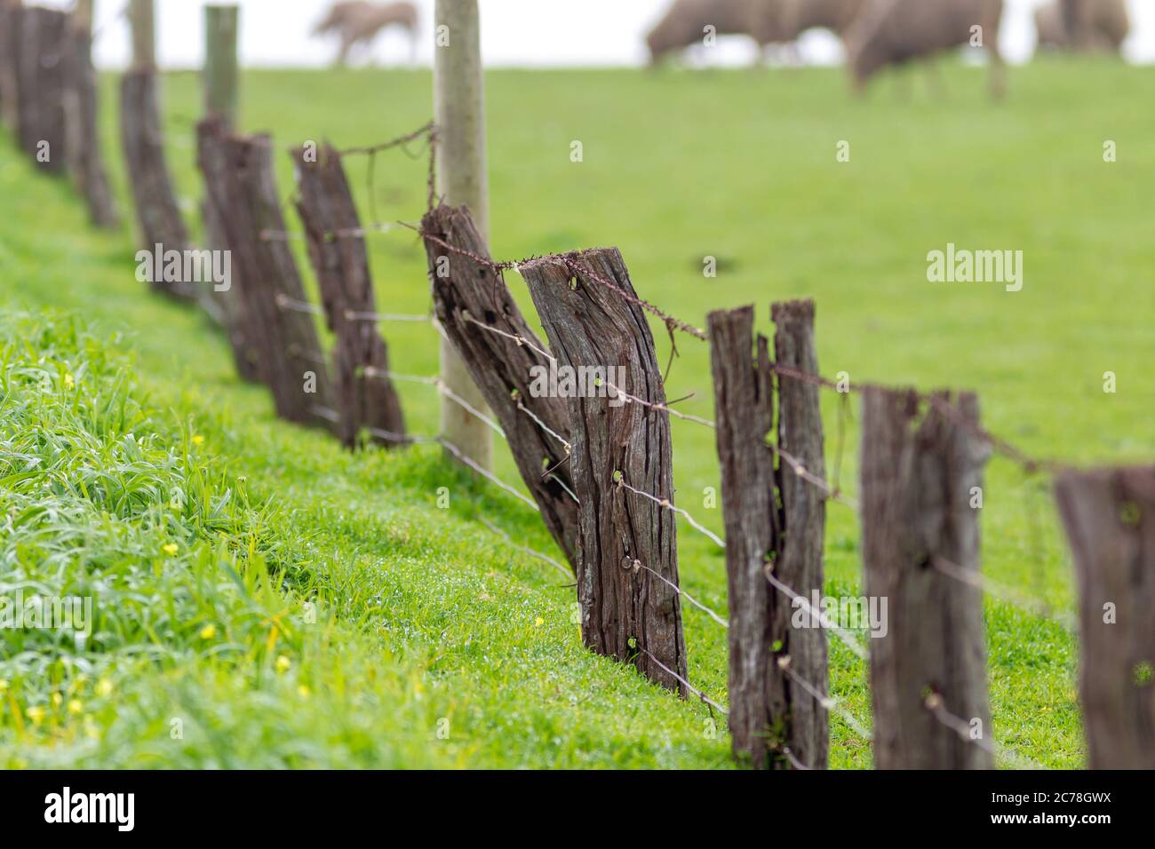 Boundary fence hires stock photography and images Alamy