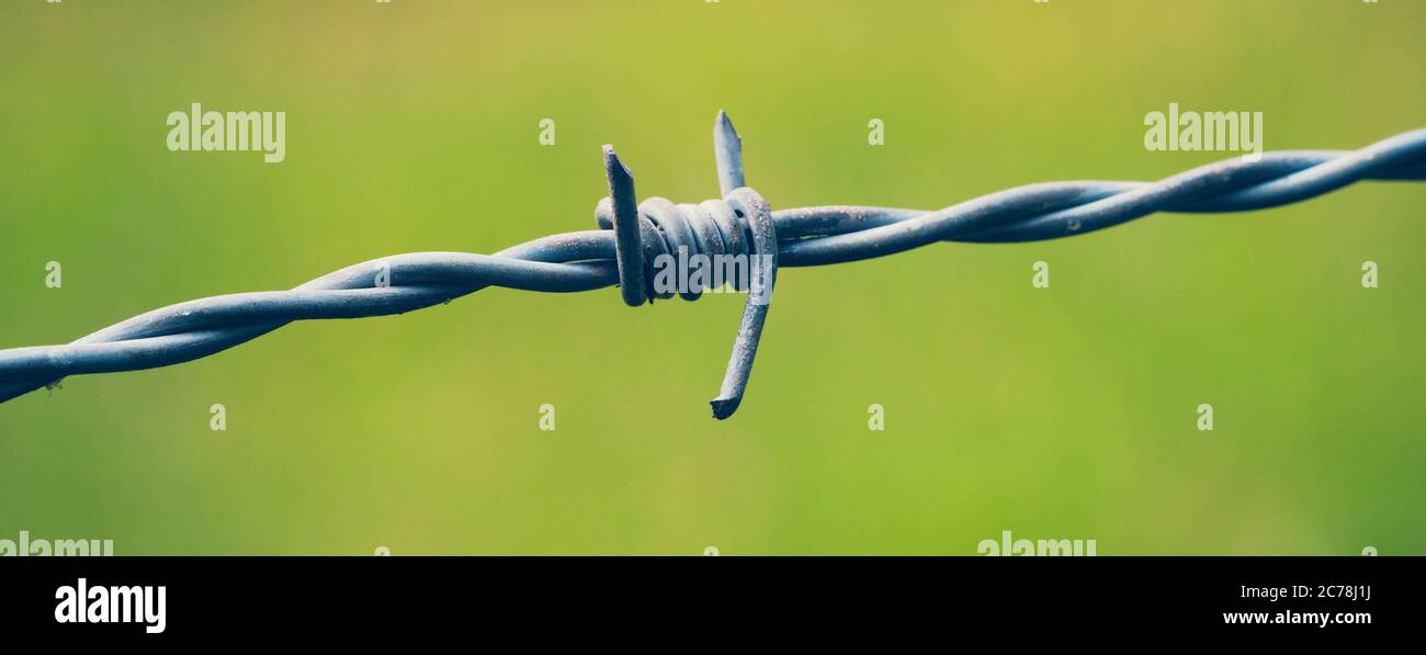 Barbed wire on green background Stock Photo