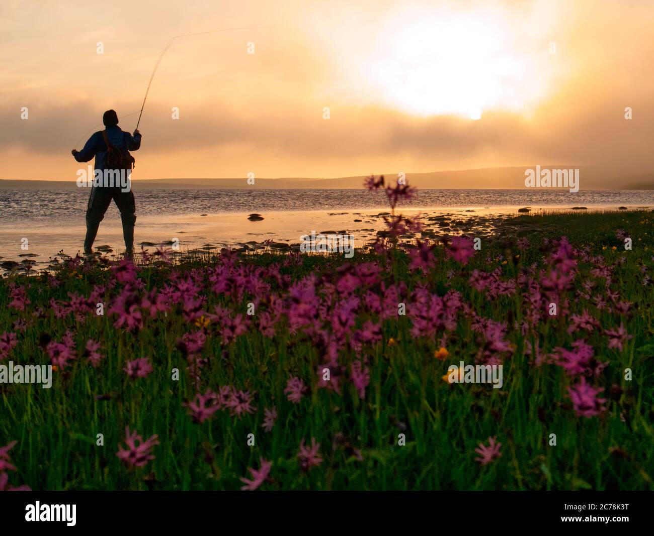 Male fly fishing on Orkney loch Stock Photo