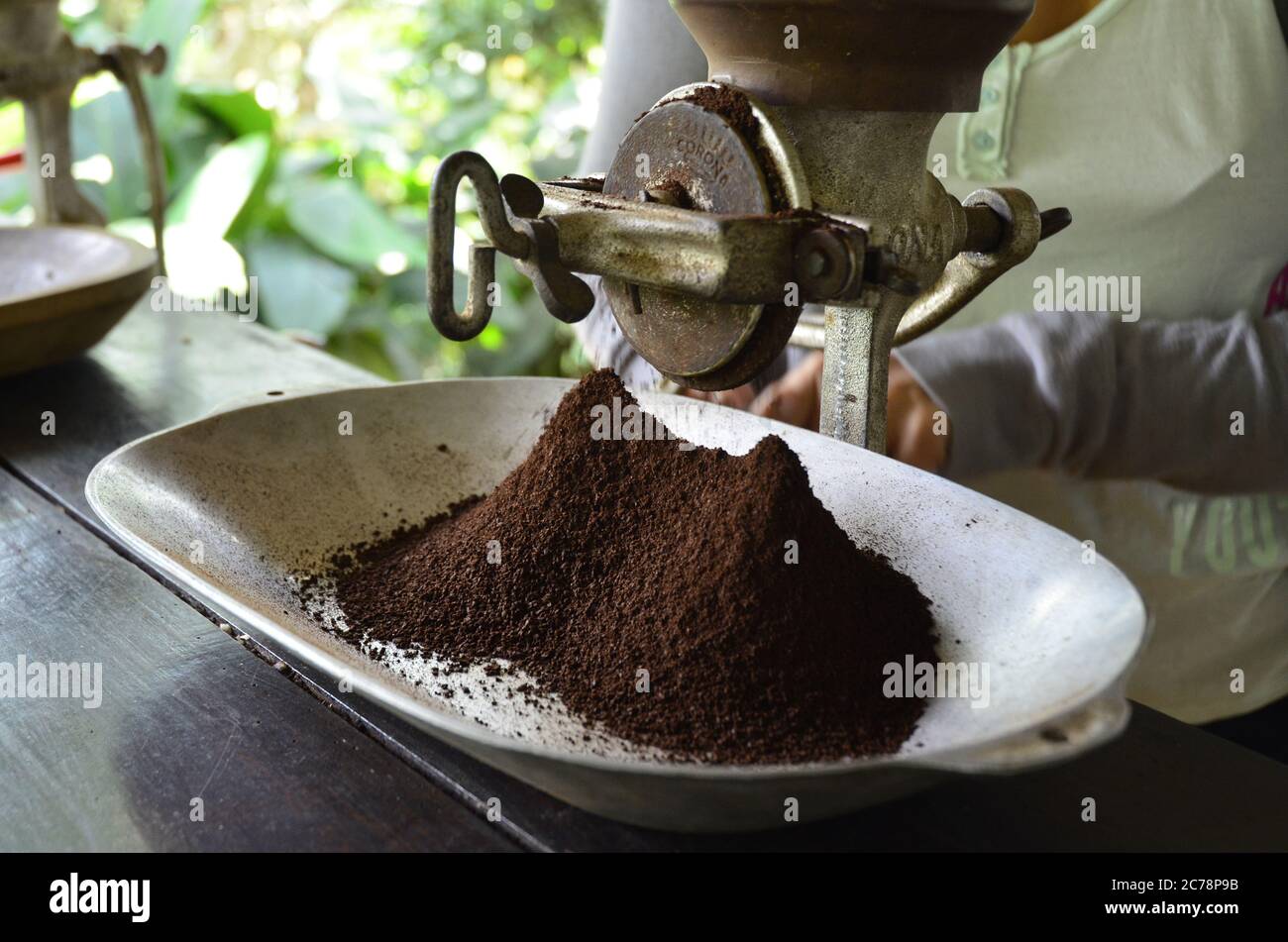 Freshly Roasted Coffee being Ground - Salento, Colombia Stock Photo