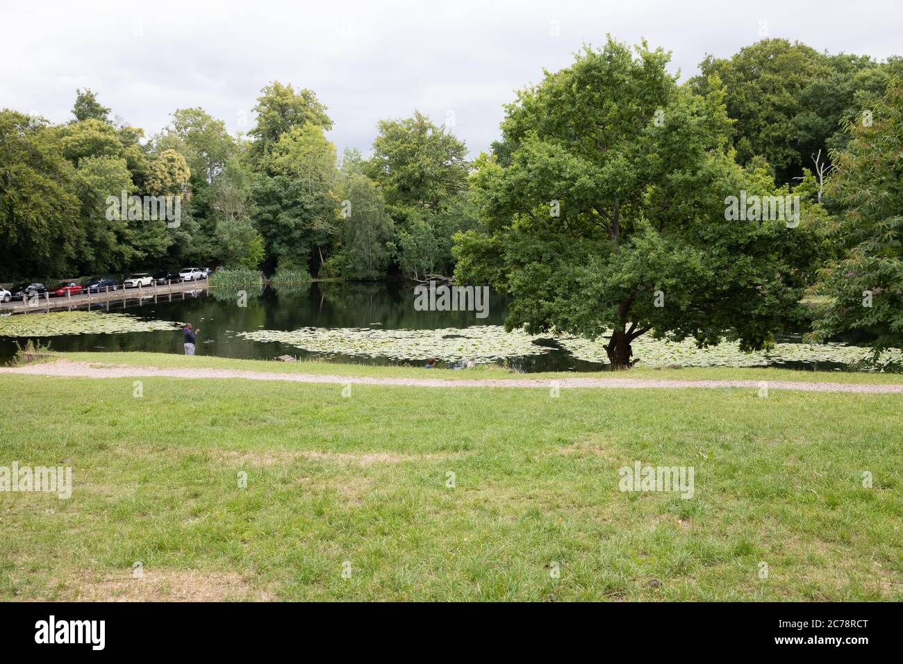 Keston Ponds,Kent,UK,15th July 2020,A view of Keston Ponds. Families enjoyed a picnic as children played and ate ice cream, even the dogs enjoyed running around on the grass by the ponds.Credit:Keith Larby/Alamy Live News Stock Photo