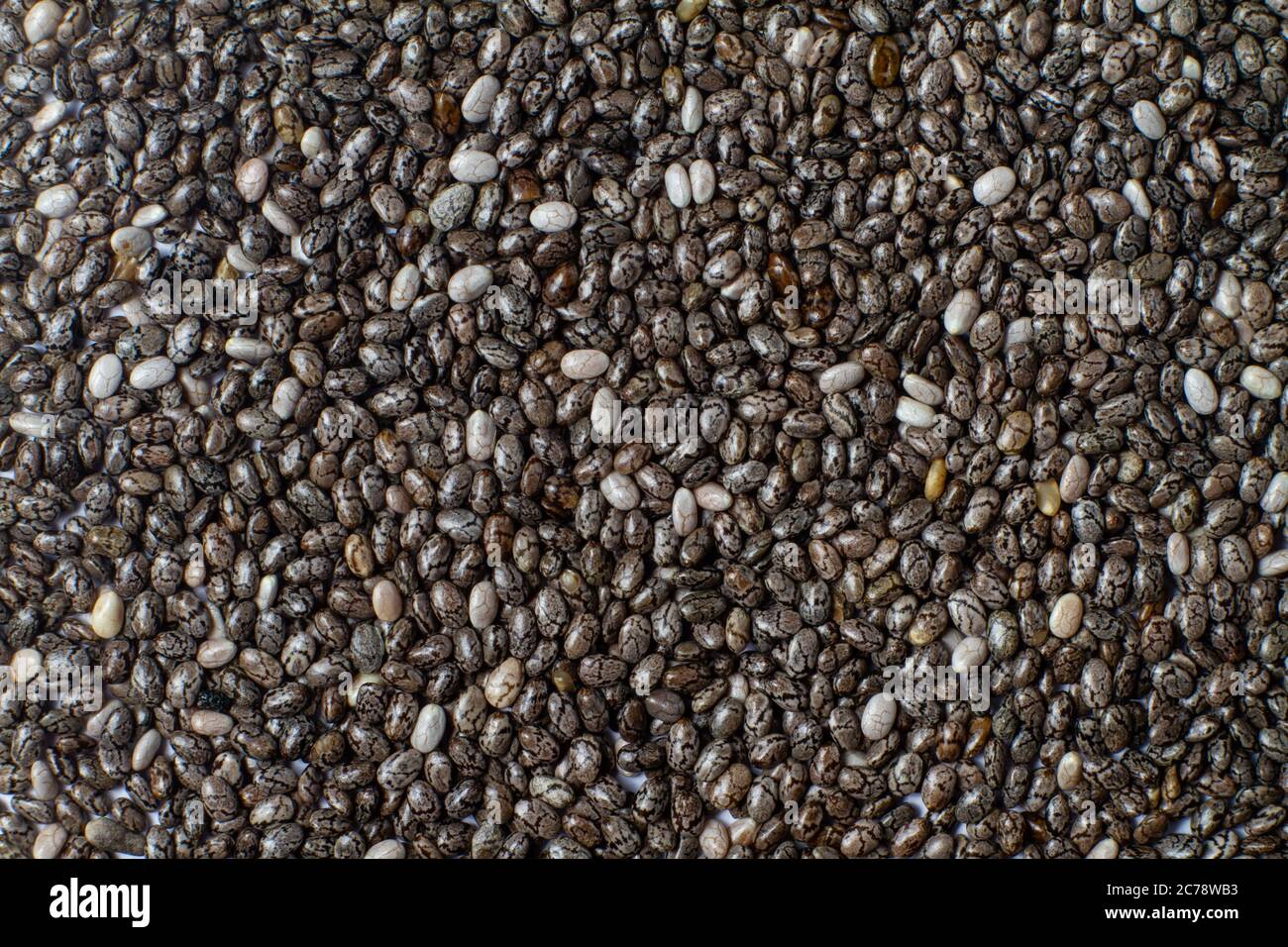 Macro photo of chia seeds. Superfoods, healthy black seeds organic