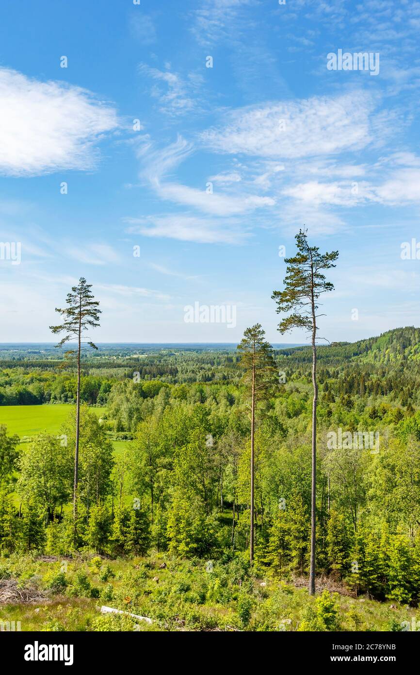 Horizon tree hi-res stock photography and images - Alamy