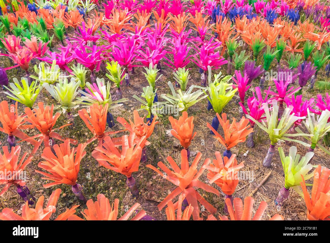 Recycled colorful plastic flowers made from plastic bottles to decorate