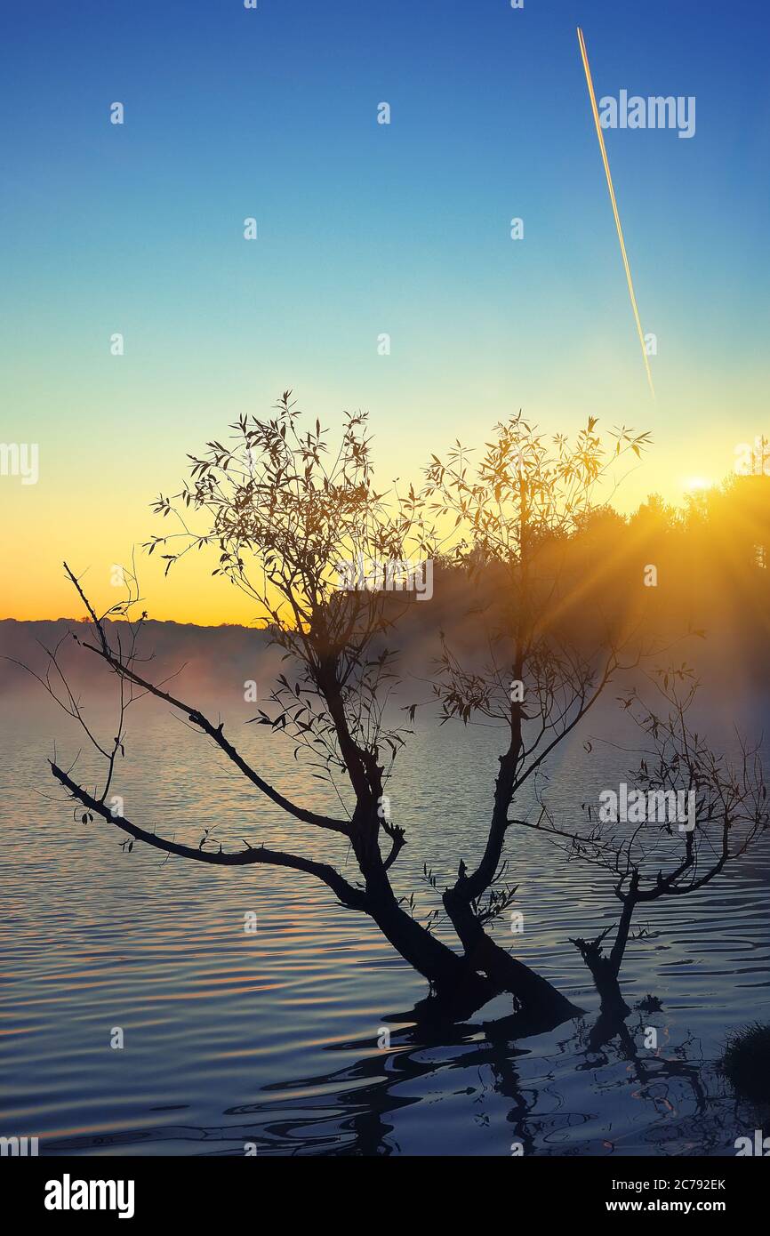 Water jet fog hi-res stock photography and images - Alamy