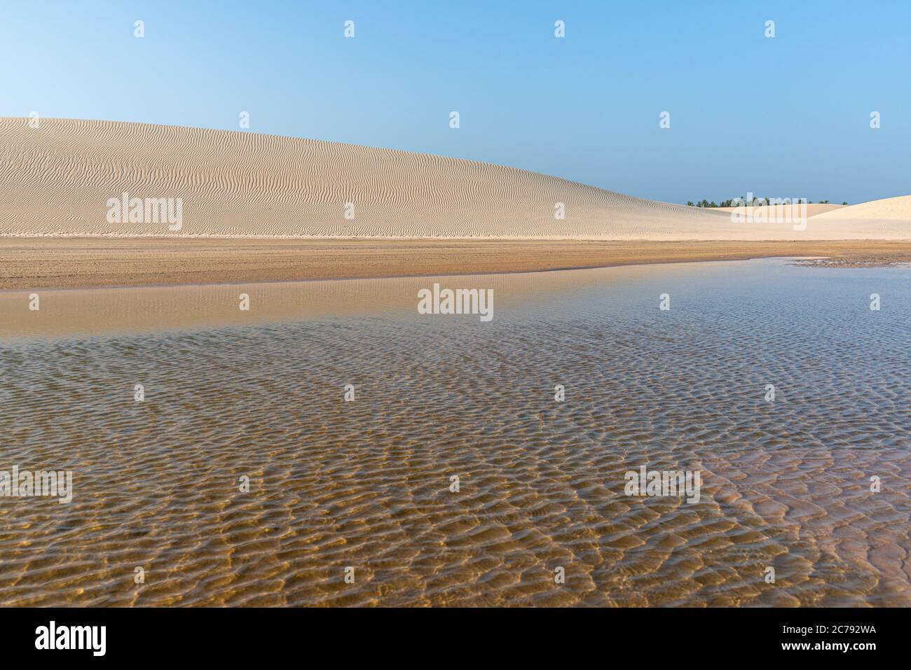 Dunes and lagoons near Jericoacoara beach in Tatajuba, Camocim, Ceara, Brazil Stock Photo