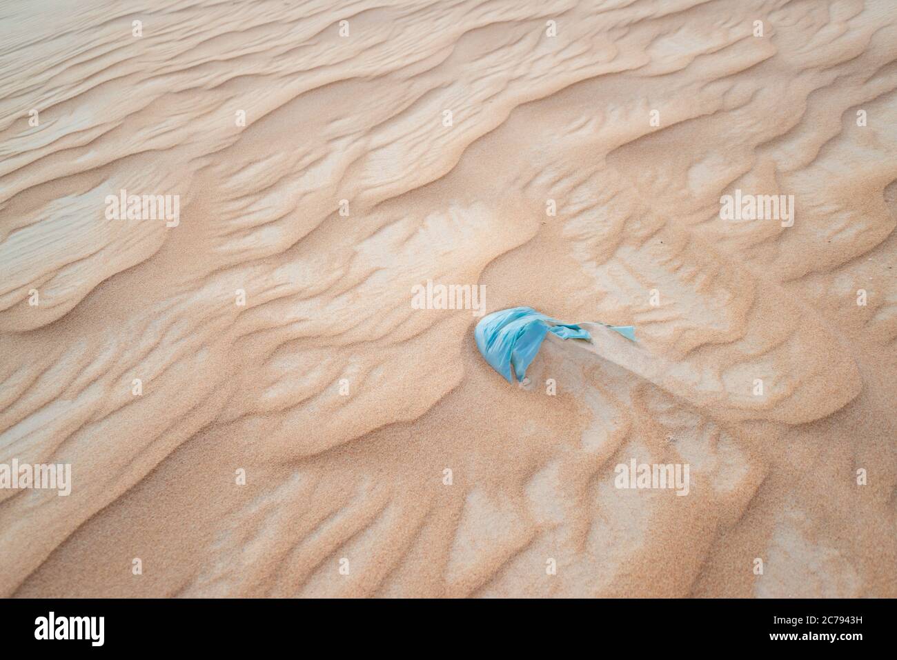 Plastic polluting the dunes near Tatajuba beach, Camocim, Ceara, Brazil Stock Photo