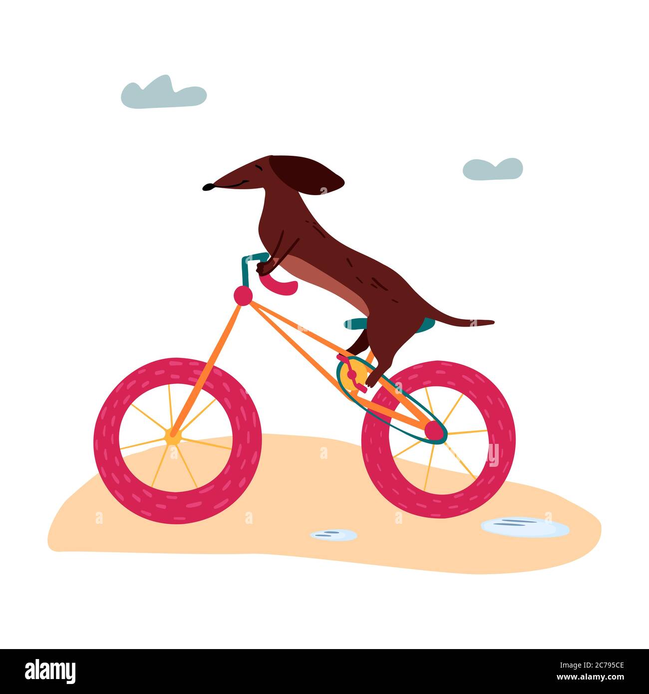 A vector illustration of a cute Dachshund wiener dog on a bicycle.  Summertime illustration Stock Vector Image & Art - Alamy