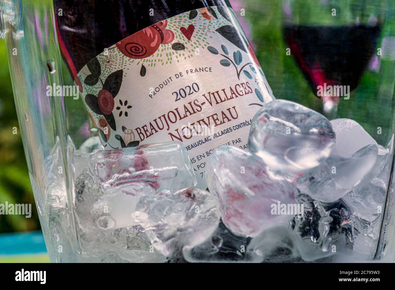 Beaujolais-Villages Nouveau 2020 red wine placed in iced wine cooler to drink traditionally slightly chilled alfresco summer garden situation France Stock Photo