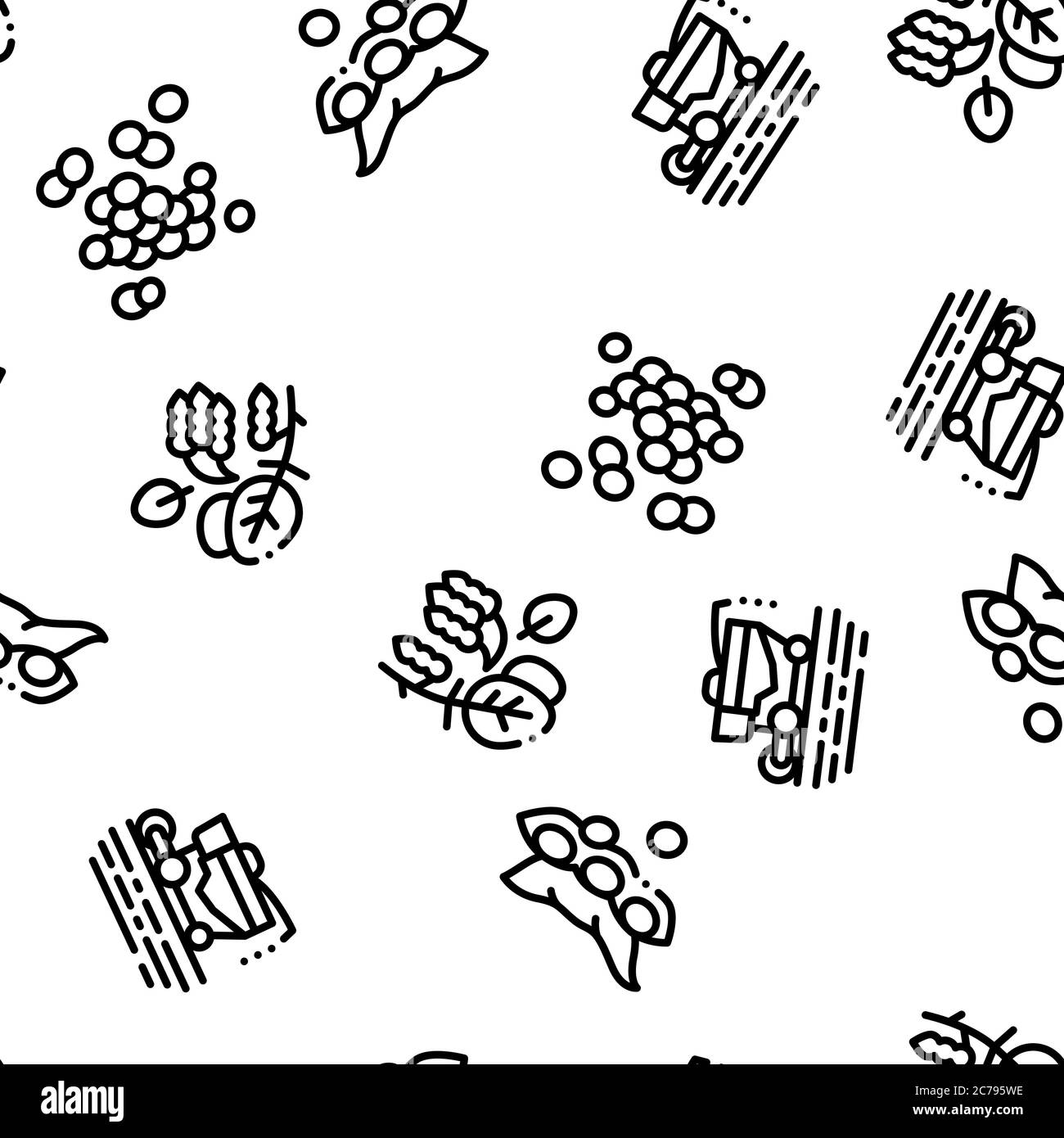 Soy Bean Food Product Seamless Pattern Vector Stock Vector