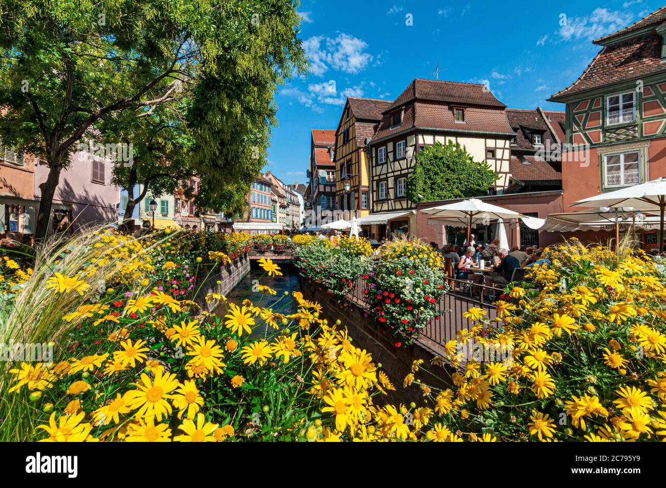 french-quaint-flowers-floral-hi-res-stock-photography-and-images-alamy
