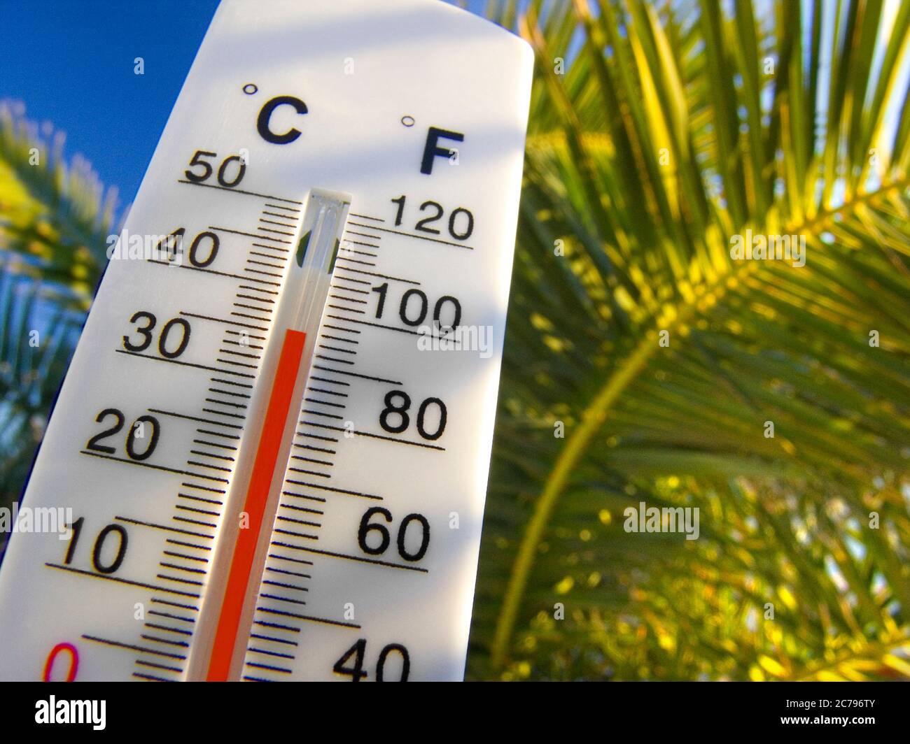 Temperature 36C Gauge Thermometer Display Holiday Sun Vacation temperature weather Thermometer displays an ideal warm and sunny 36C degrees centigrade 93F Fahrenheit against a vacation holiday sunny exotic palm tree and blue sky background Stock Photo