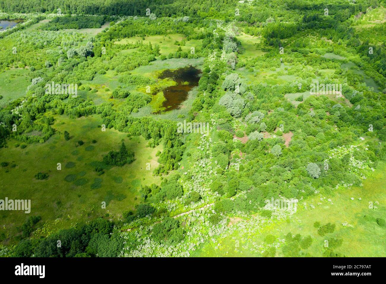 Aerial top view lake middle hi-res stock photography and images - Alamy