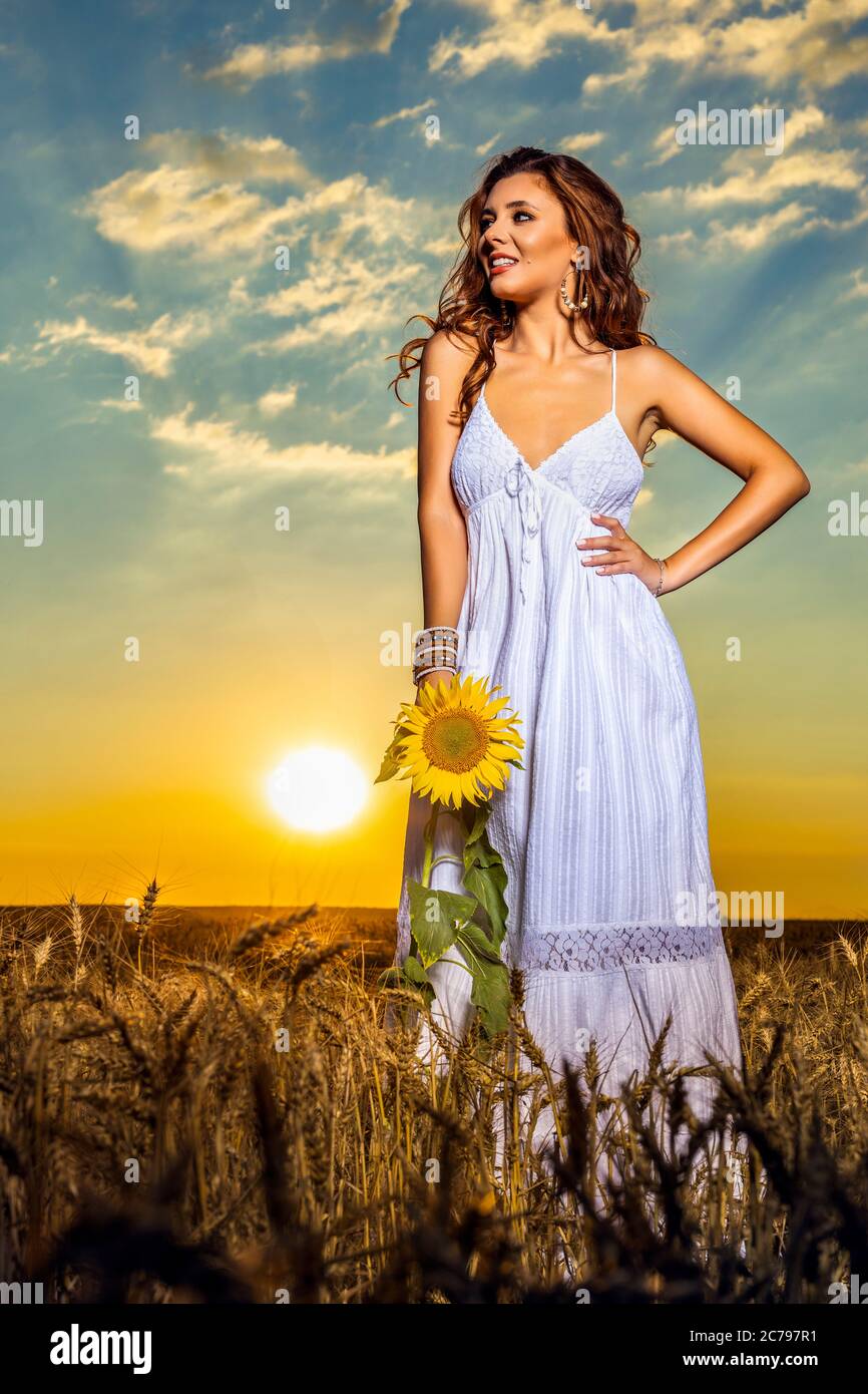 Beautiful woman in white dress in a wheat field with a sunflower flower ...