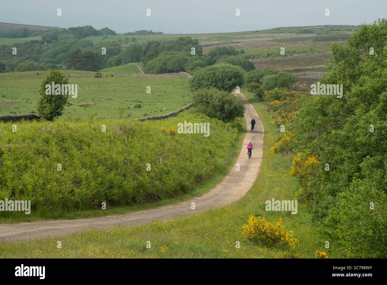 Two cyclists, one following the other, cycle through the countryside along a traffic free path Stock Photo