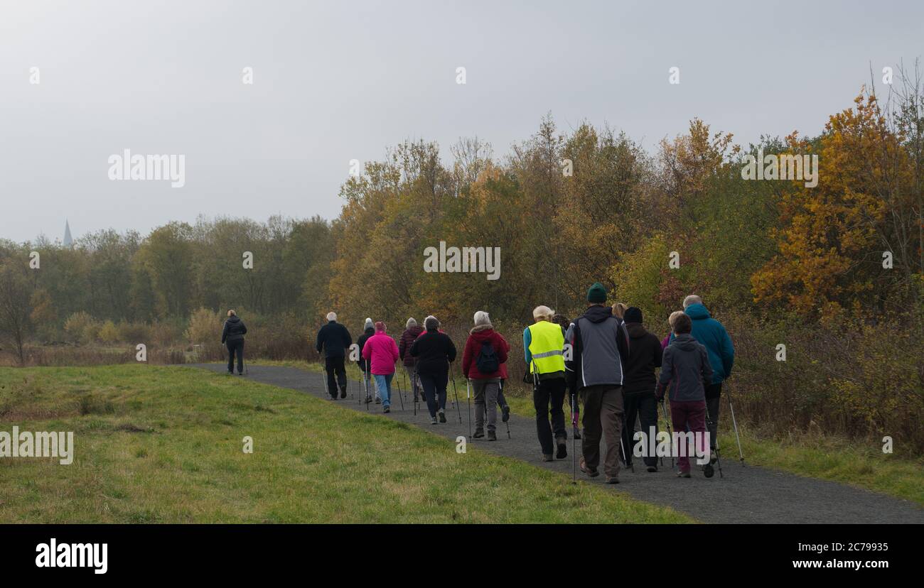 A group of mature walkers exercising with the use and assistance of nordic poles Stock Photo