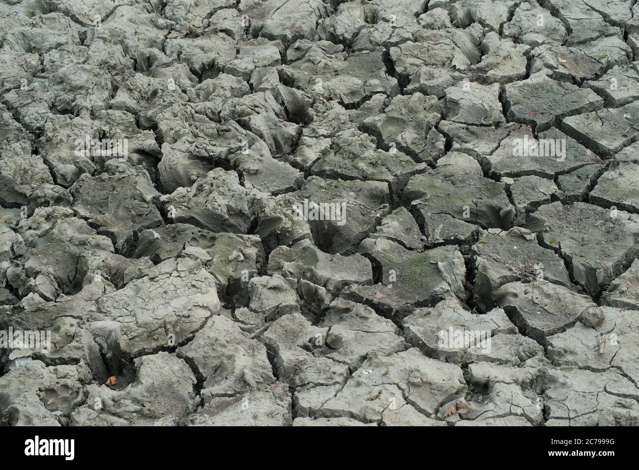 Soil and earth dried out and cracked into various shapes by prolonged heat Stock Photo
