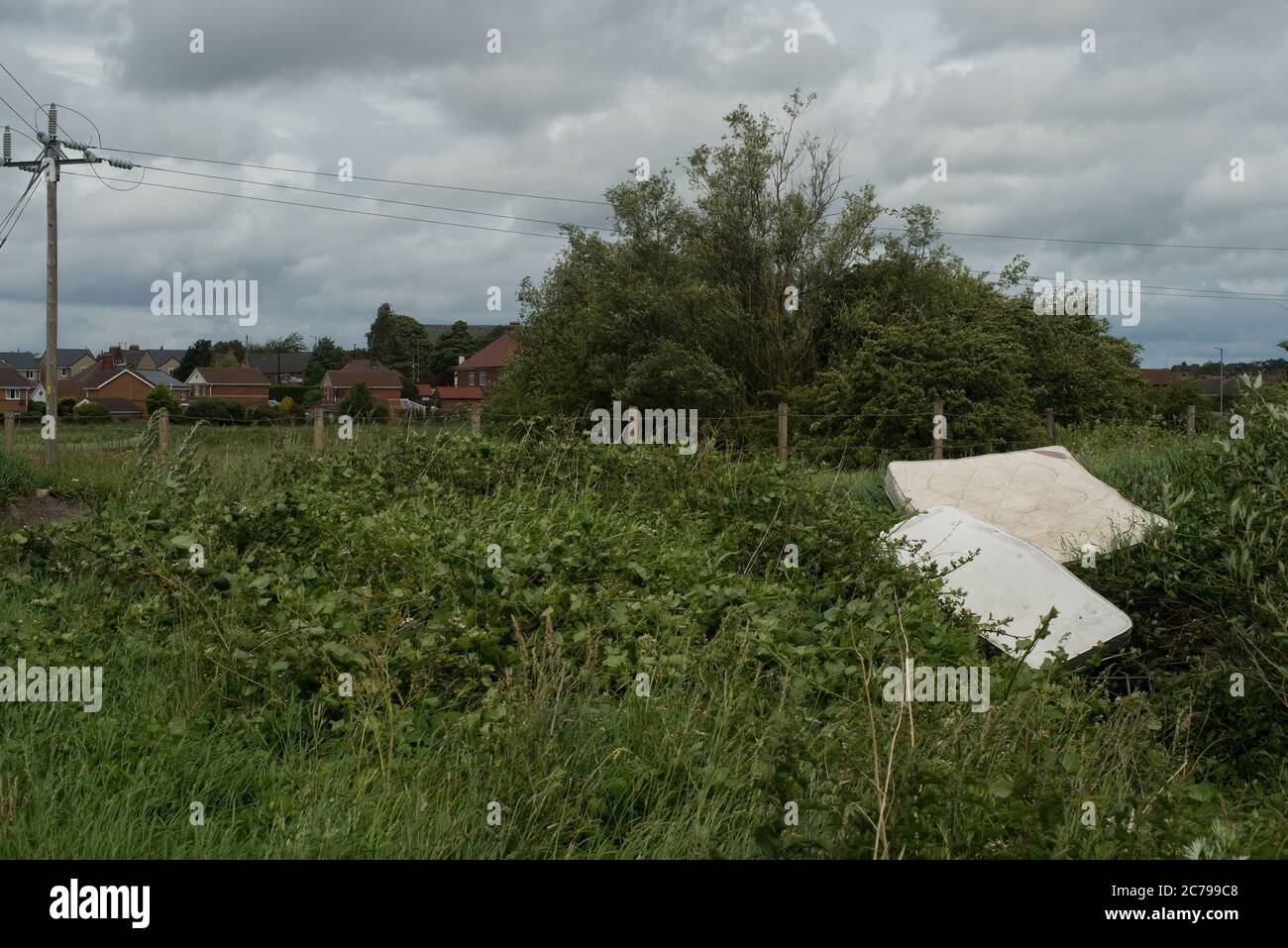 Two used mattresses dumped as fly tipping in a country area littering the countryside Stock Photo