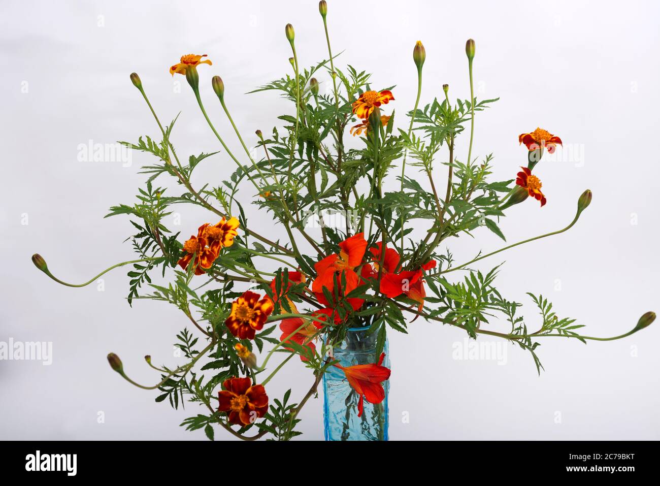 Marigold and nasturtium flowers in a glass vase hires stock