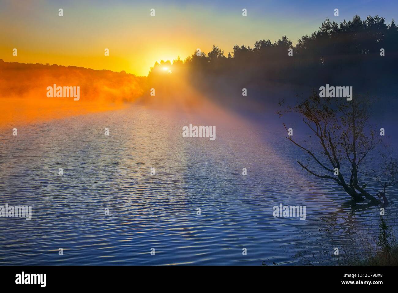 Sunrise on the lake. Thick fog, silhouettes of trees in the rays of the ...