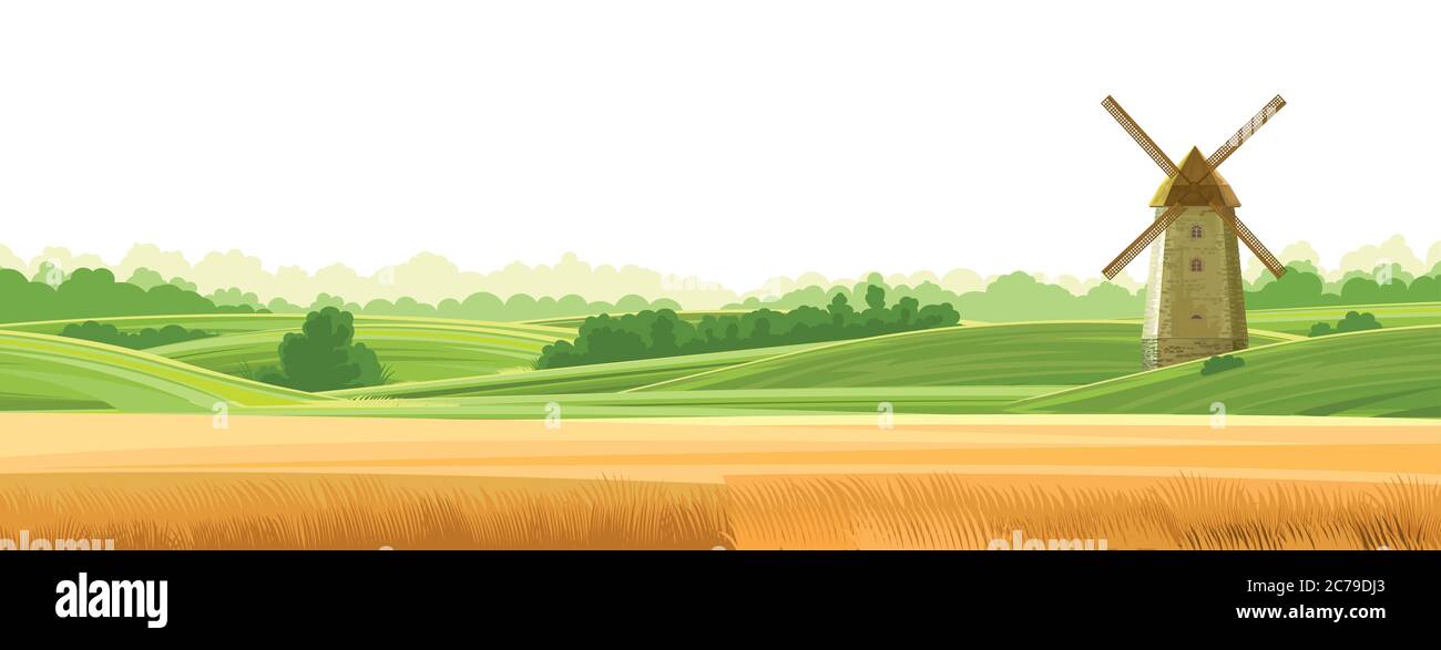 Wheat field landskape. Isolated Vector on a white background. Green grassy hills. Windmill for grinding flour. Rural rustic scenery. Trees, shrubs. Stock Vector