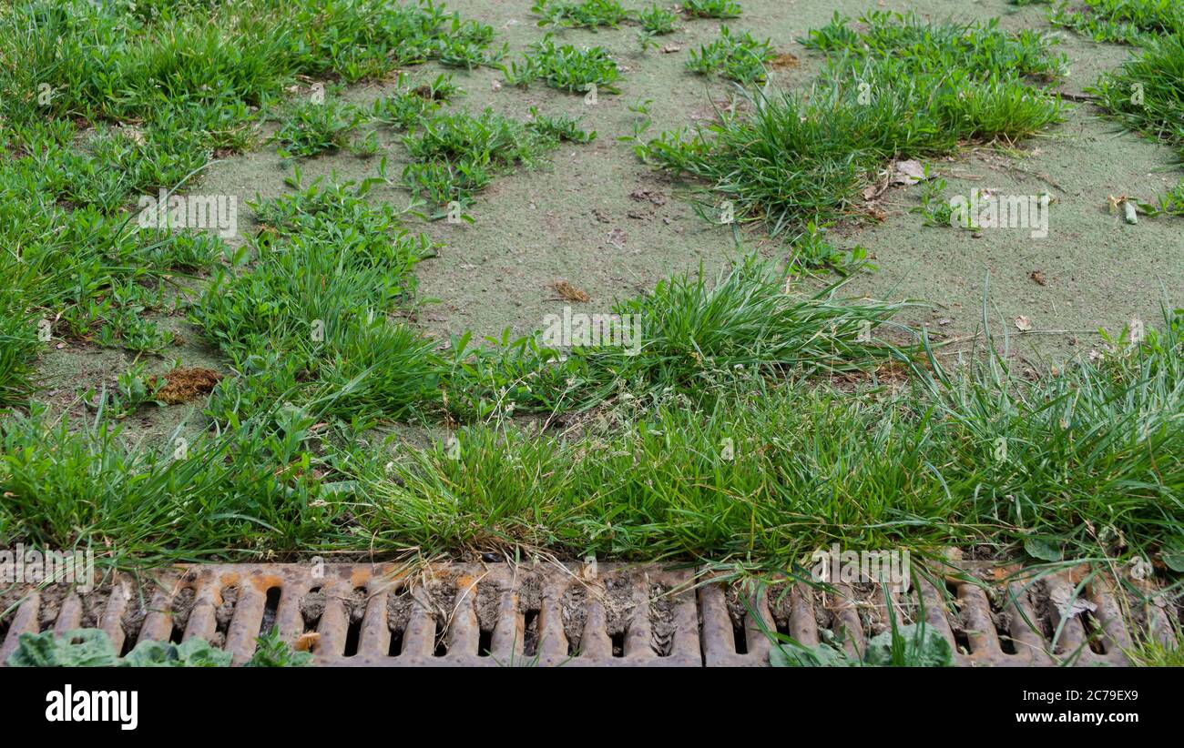 Background of old rusty metal drain grid beside patchy grass Stock Photo