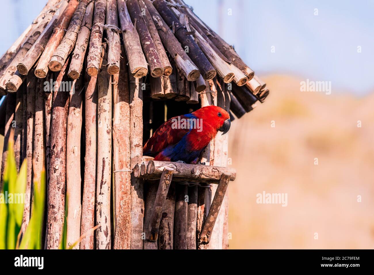 Gallery image with a fresh perspective