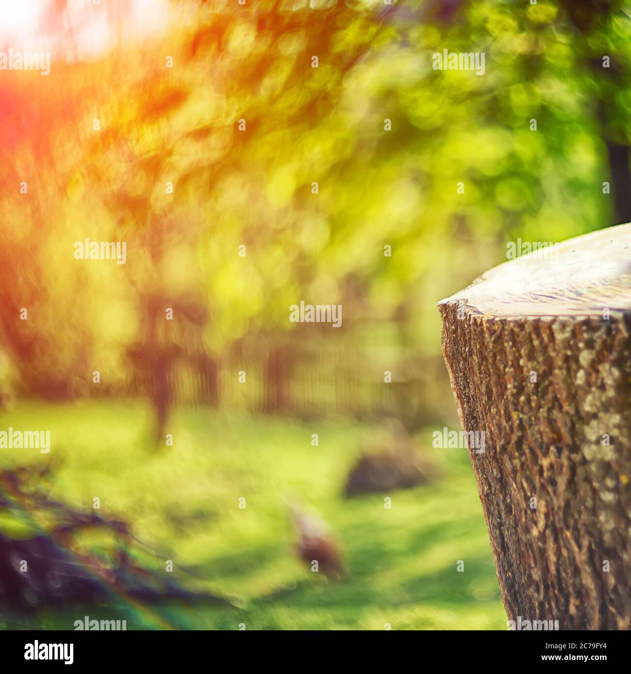Fresh healthy green bio background with abstract blurred rural landscape and bright summer sunlight. tree stump in the foreground Stock Photo
