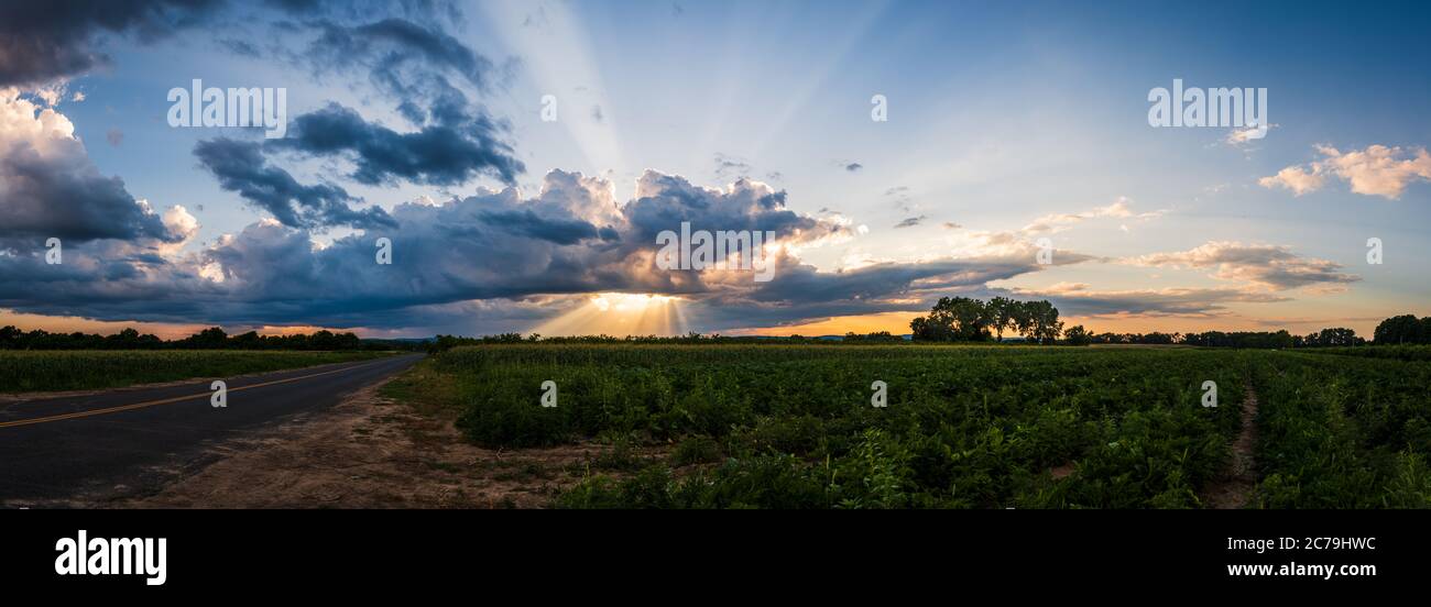 Sunset With Rays Crepuscular sun rays during sunset hi-res stock photography and images ...