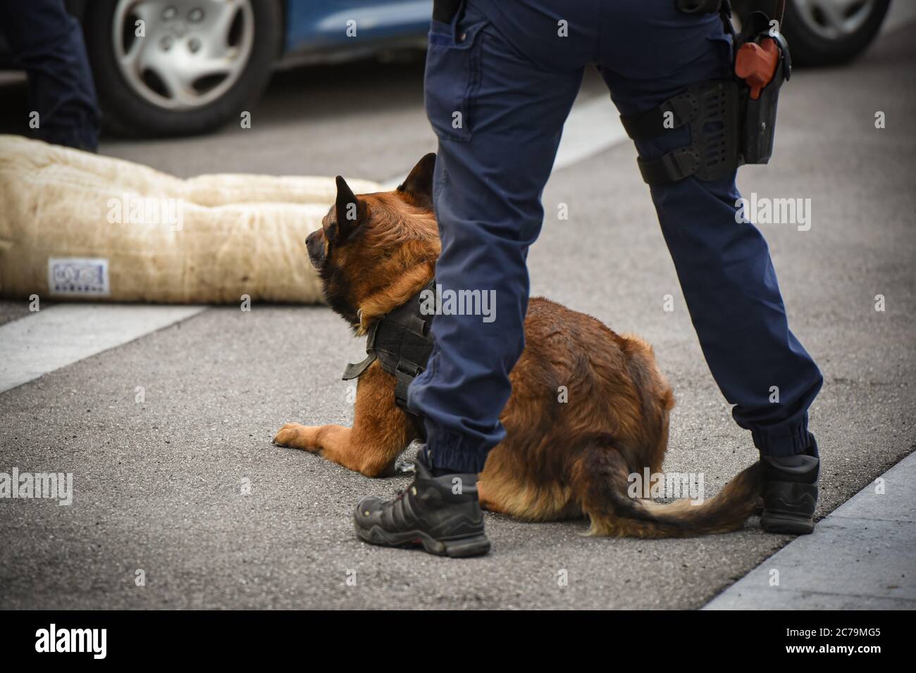 demonstration of policeman dog Stock Photo