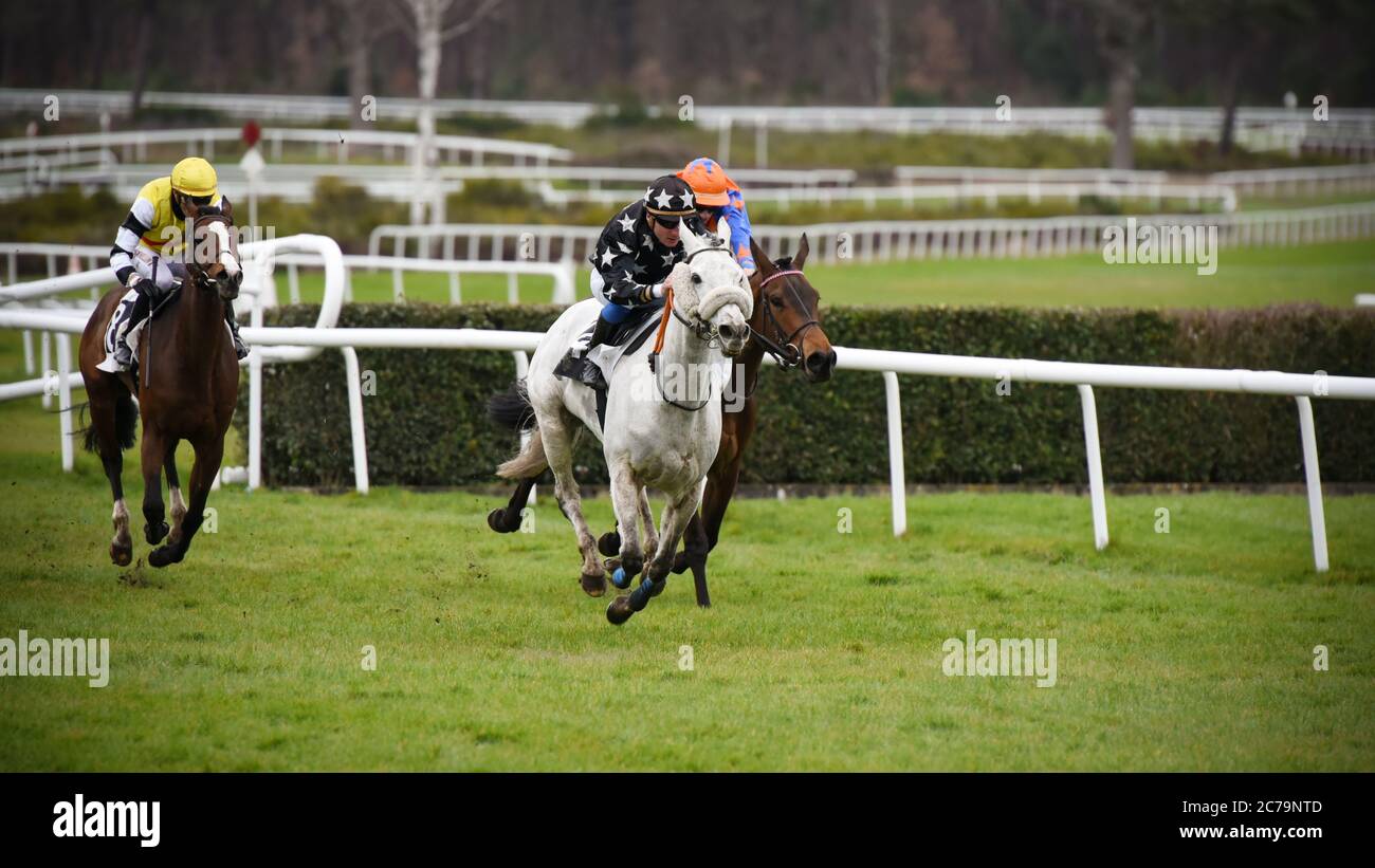 beautiful horse racing in hippodrome Stock Photo - Alamy