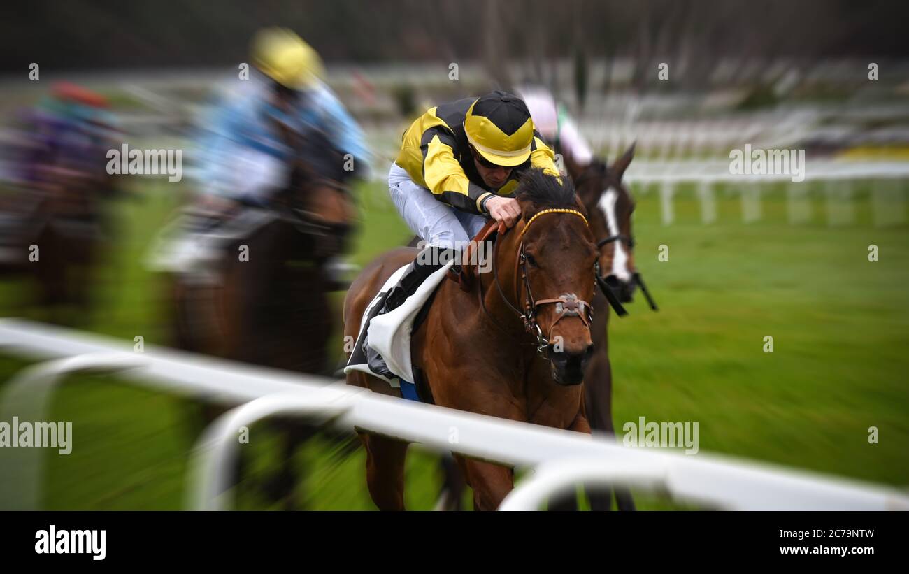beautiful horse racing in hippodrome Stock Photo - Alamy