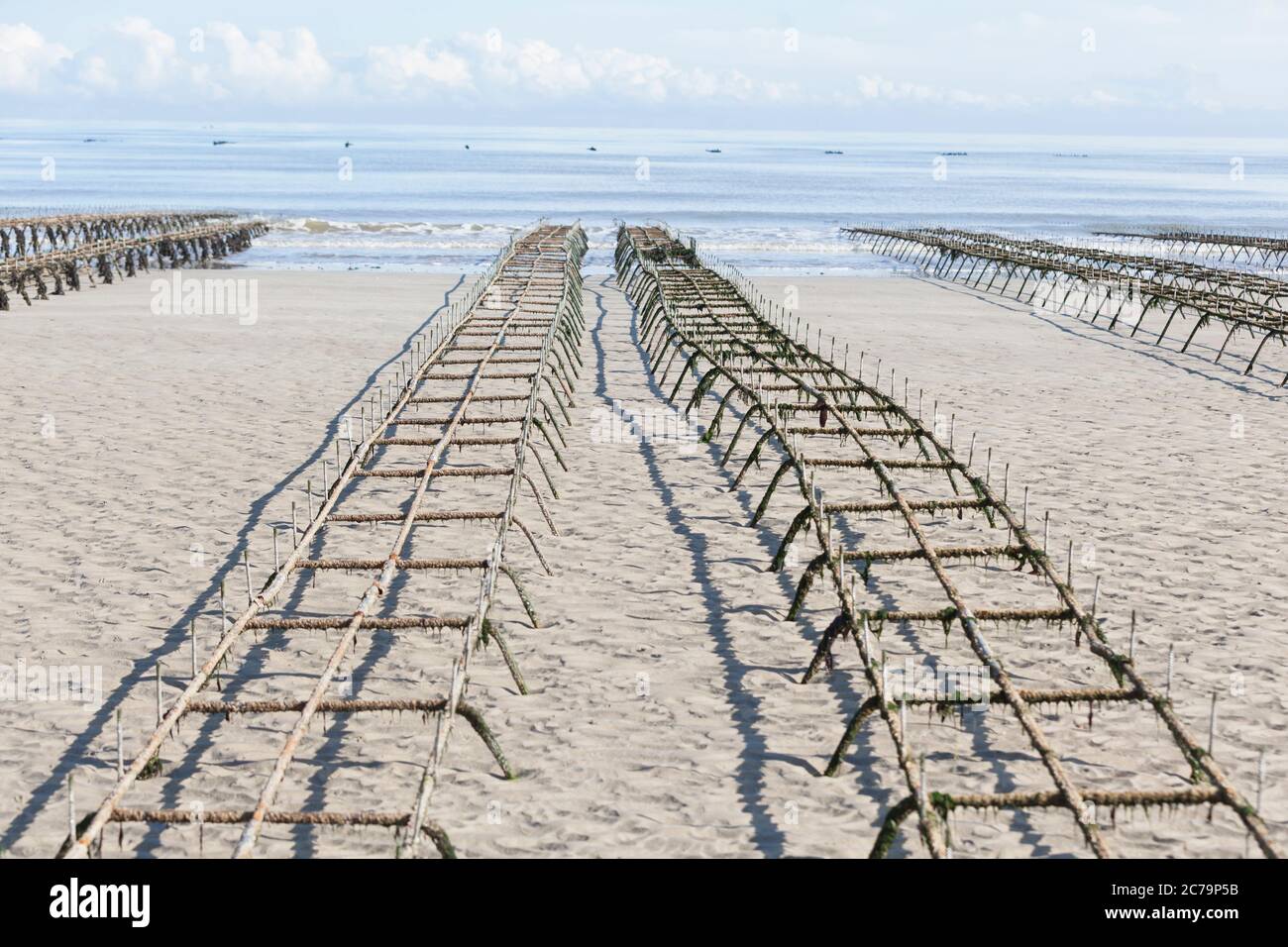 Oyster farming, oyster tables on Utah Beach in Normandy Stock Photo