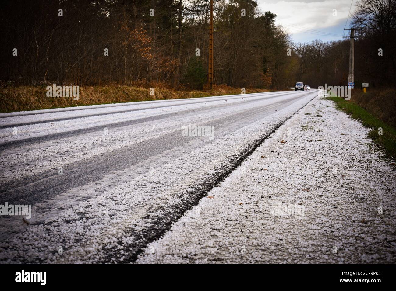 forest road after hailstorm Stock Photo