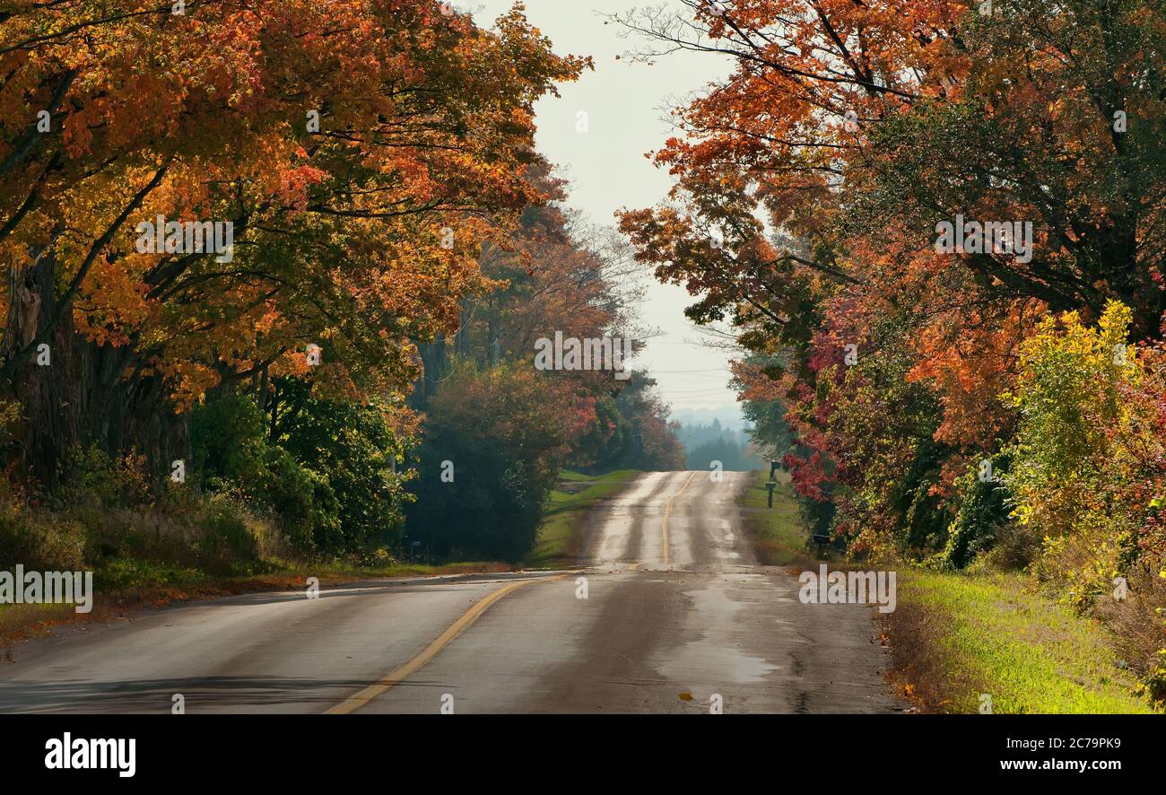 A beautiful scenic hilly country road with colorful fall colors in Ontario Canada Stock Photo