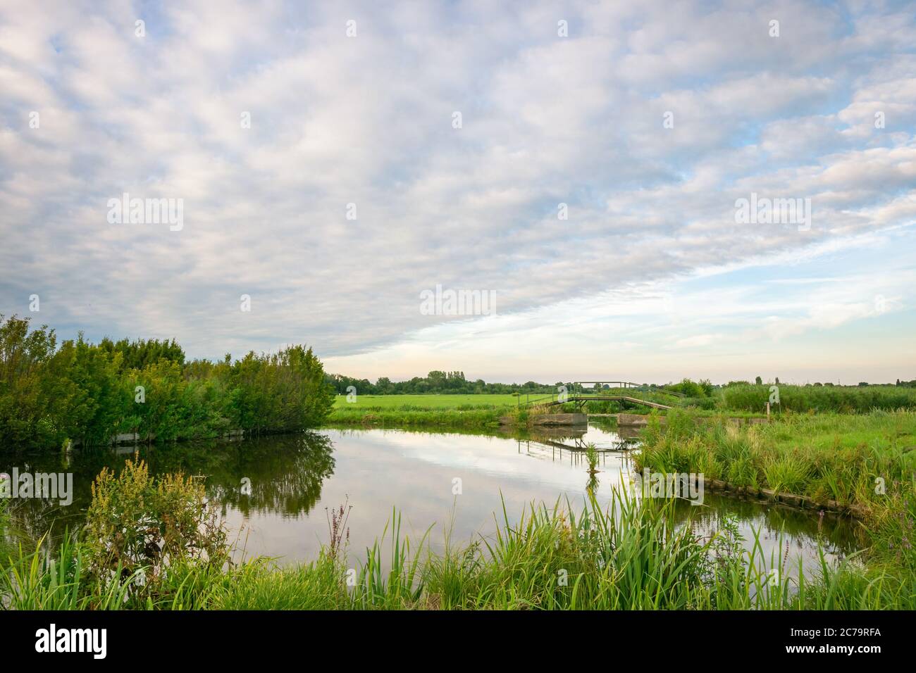 Polder landscape in western part of Holland. Green meadows are intersected with ditches or canals, where the watersides are connected by small bridges. Stock Photo