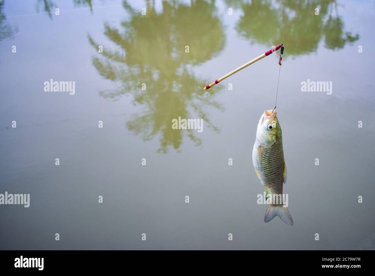 Fishing hook hanging on a fishing line Stock Photo - Alamy, Fish Line For  Hanging 