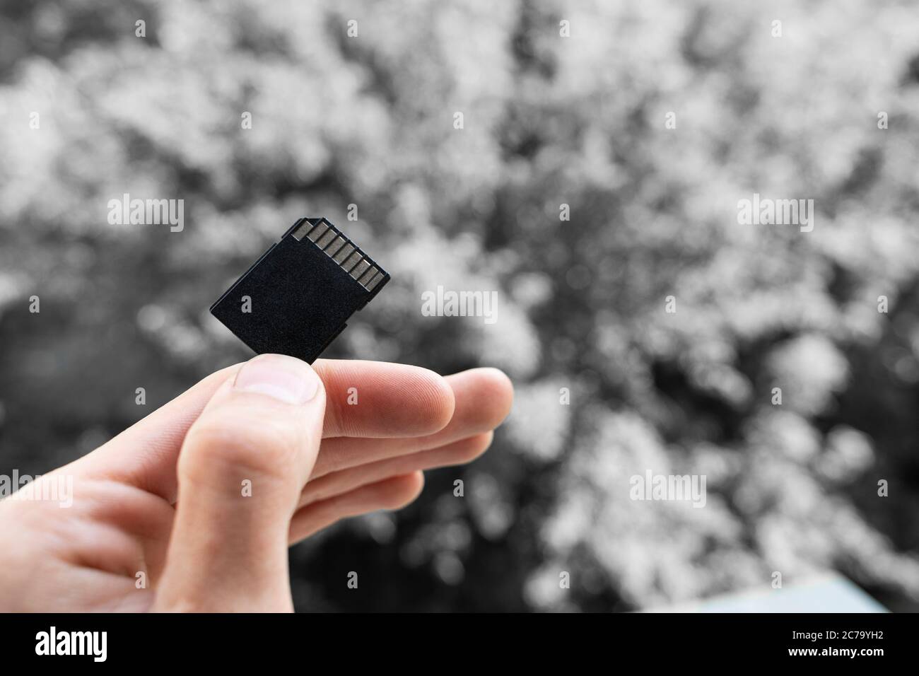 hand and finger hold SD memory card on a gray backgorund. hand holds a ...