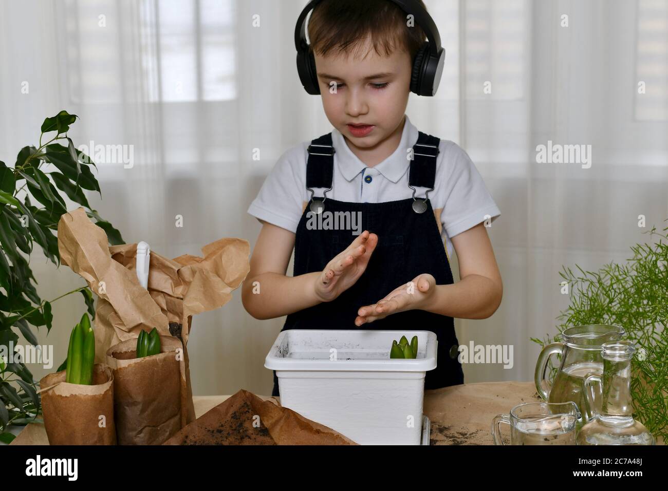 The boy is engaged in the planting of hyacinths. Shakes off the palms of his hands from the soil. Stock Photo