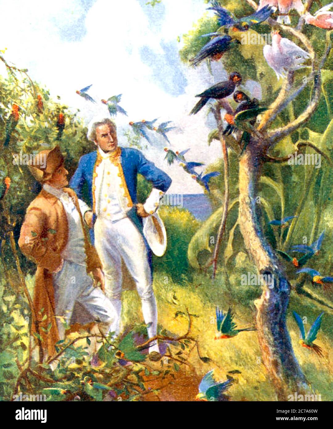 JOSEPH BANKS AND CAPTAIN JAMES COOK watching birdlife in Australia during the 1768-71 voyage by the Endeavour. A 1920s illustration. Stock Photo