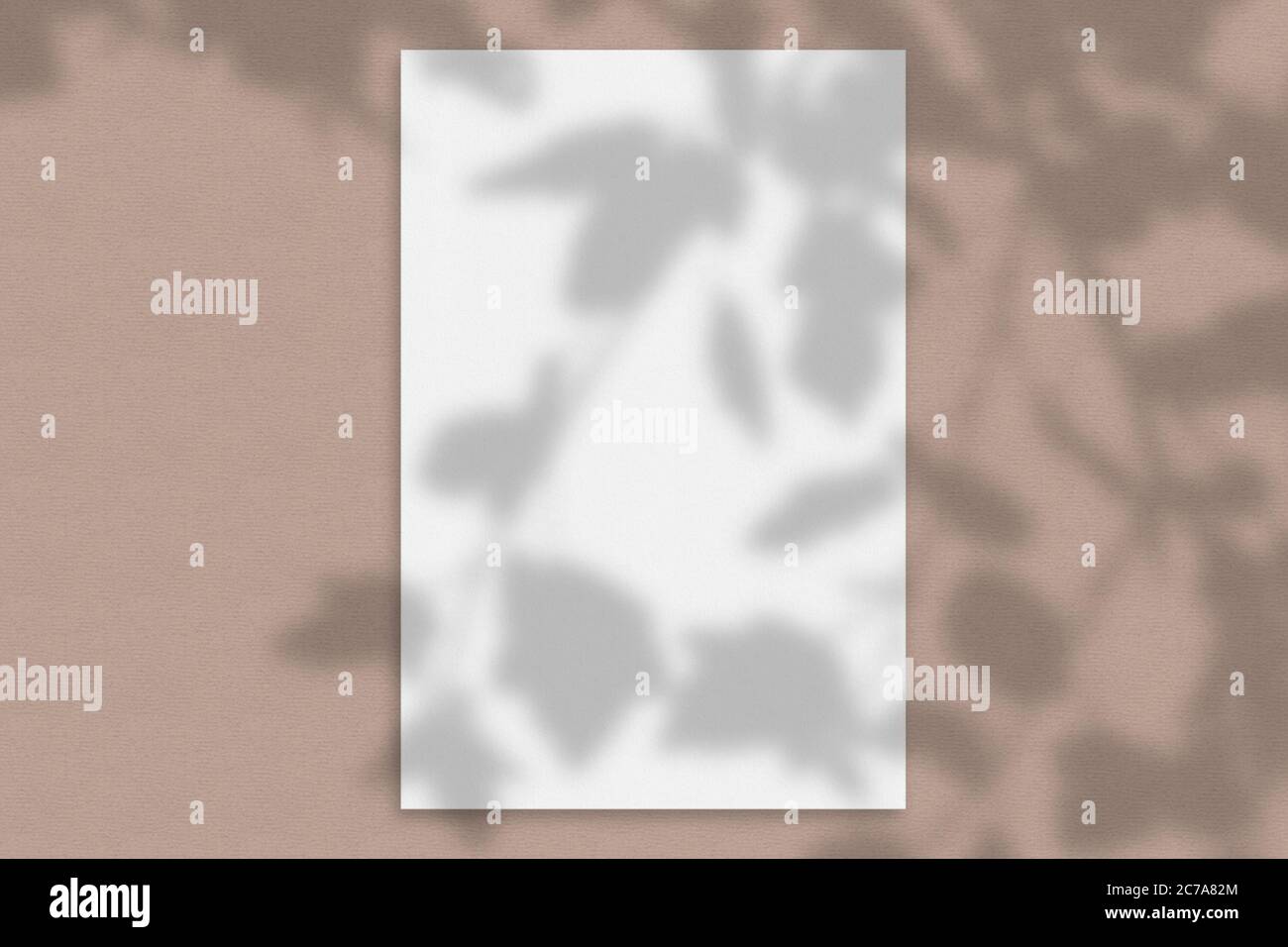 Mockup of a paper card with a tree shadow Stock Photo
