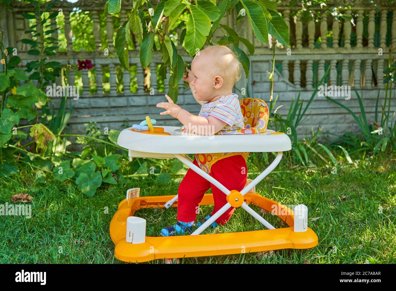 baby walker for grass