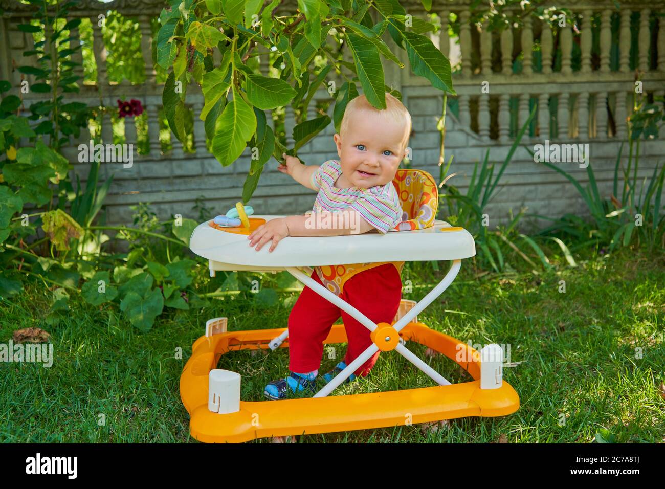 baby girl in the garden in a walker learns to walk, the first steps in a walker Stock Photo