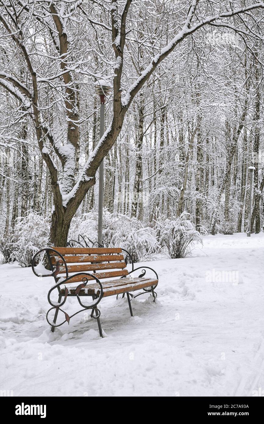 Park bench and trees covered by heavy snow. Lots of snow Stock Photo ...
