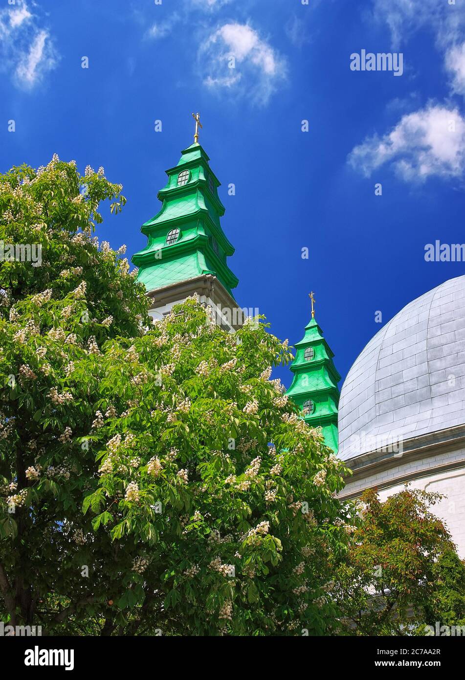 Cathedral belltowers and chesnut tree in blossom. Chessnut flowers Stock Photo
