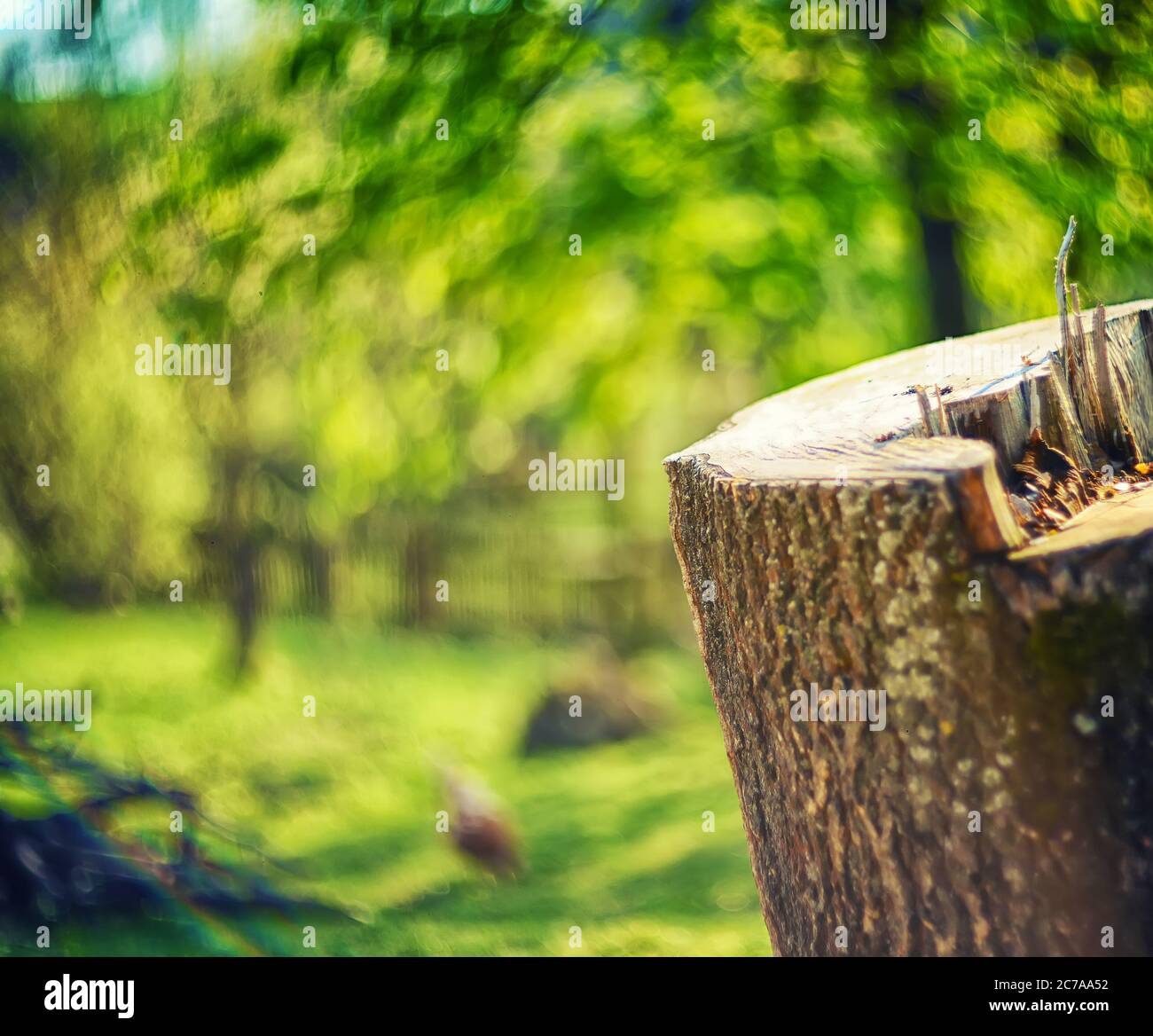 Fresh healthy green bio background with abstract blurred rural landscape and bright summer sunlight. tree stump in the foreground Stock Photo