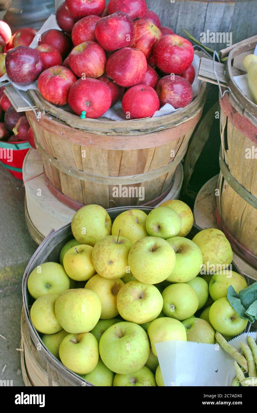 A bunch of ripe freshly picked organic crunchy red apples at local produce  farmers market counter. Clean eating concept. Sweet fruits for fit and heal  Stock Photo - Alamy