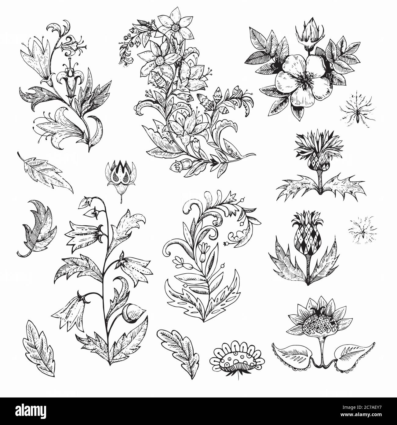 Big set of ink hand drawn flowers and vintage plants. Vector ...