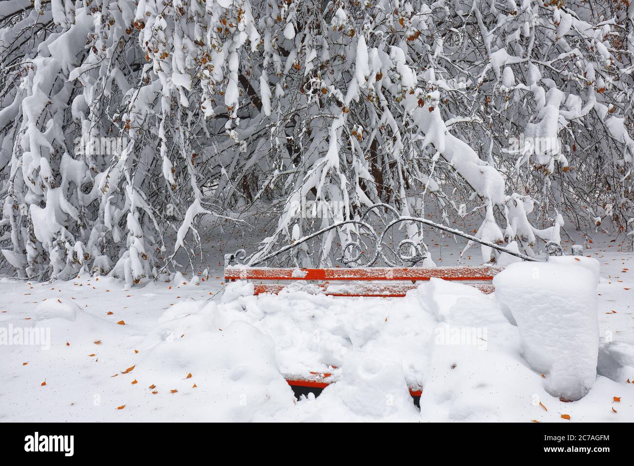 Park bench and trees covered by heavy snow. Lots of snow Stock Photo ...